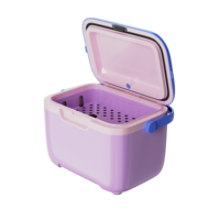 Afrique du Sud : Vente chaude – Glacière portable en plastique de 10 litres, personnalisable OEM/ODM, pour pique-nique, camping et activités de plein air