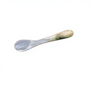 Cuillère à café en nacre blanche à long manche, cuillère MOP, ustensile, vente chaude, cuillère à glace, cuillère à soupe, vaisselle, ustensiles de table - Product Image 1