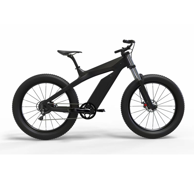 ODM OEM Electric Mountain Bike MTB More Light Electric Bicycle Carbon Fiber Kontax Mid Snow Motor for Adult