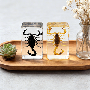 Artesanía de Resina Hecha a Mano, Escorpión Realista en Resina, Taxidermia de Insectos, Escultura de Graduación, Pisapapeles - Product Image 2