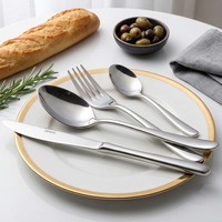 Ensemble de couverts en acier inoxydable moderne, design classique pour la maison, la restauration et l'hôtellerie