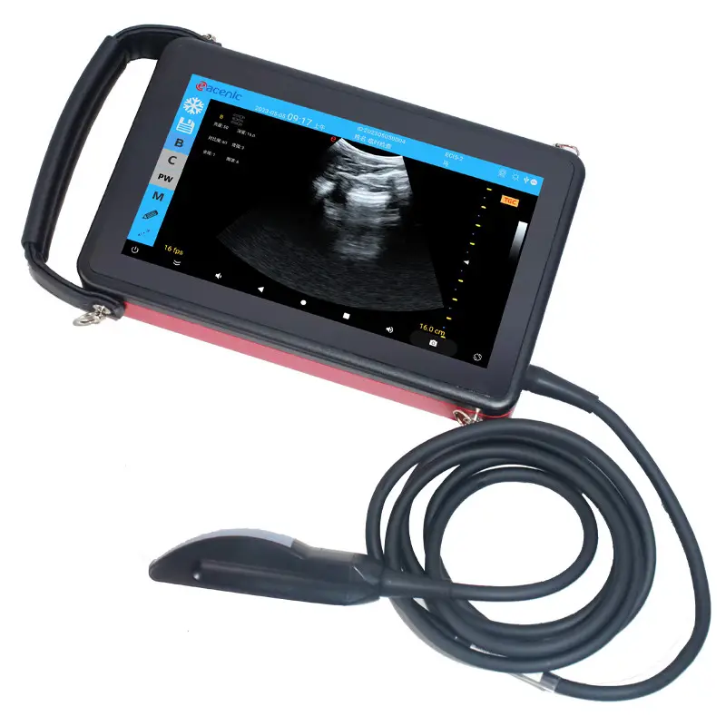 New model handheld portable digital handheld cheap price vet ultrasound