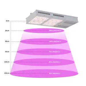 Aufgestiegene Zimmer pflanzen wachsen Lichter Bestseller Voll spektrum 50w Wasserdicht 3000k 5000k UV Ir LED wachsen Licht für Zimmer pflanzen