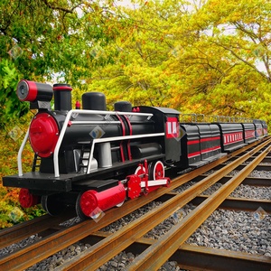 <span class=keywords><strong>Tram</strong></span> Multisedile di Medie Dimensioni per Aree Panoramiche, <span class=keywords><strong>Tram</strong></span> Turistico in Vendita - Product Image 3