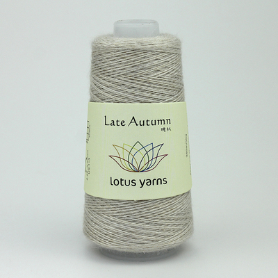 กระดูก01