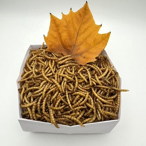 Vermi della farina essiccati a microonde per uccelli pesci lucertole ragni gechi ricci camaleonti criceti ecc. Dolcetti - Product Image 6