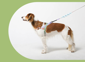 Harga pantas <span class=keywords><strong>Harness</strong></span> anjing Xl rompi untuk Hiking disesuaikan anjing taktis besar <span class=keywords><strong>Harness</strong></span> tanpa tarik <span class=keywords><strong>Harness</strong></span> - Product Image 2