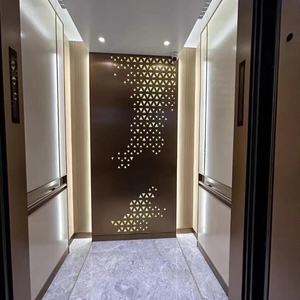 Ascensores Domésticos Hidráulicos Personalizados para Casas Pequeñas de 2-4 Personas, Elevadores sin Eje para Interiores con Capacidad de 400 kg, Solución que Ahorra Espacio - Product Image 3