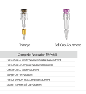 ชุดซ่อมแซมรากฟันเทียมโก้สไมล์ ชุดอุปกรณ์ทำฟันปลอมคอมโพสิต - Product Image 6