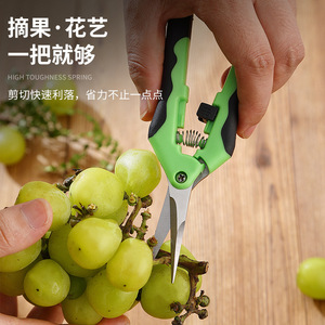 Pinheng Fruit Picking Shears 2.5cm Stainless Steel Butterfly Pruner For <b>Flower</b> Stem Cutting - Product Image 2