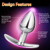 SacKnove-Cosplay lumière LED pour couple, jouet sexuel, détachable, lumineux, métal, silicone, trou de cul, plug anal, queue de renard