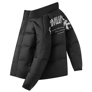 Doudoune en duvet d'oie blanc pour hommes et femmes, coupe ample, nouvelle collection 2025, légère et chaude pour l'hiver, élégante et très tendance - Product Image 1