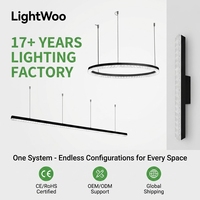 Lampada Lineare Artistica in Cristallo Collegabile, Riflessione Diffusa, 3CCT, Luce Soffusa, Profilo Illuminante per Gallerie e Showroom, Personalizzabile OEM