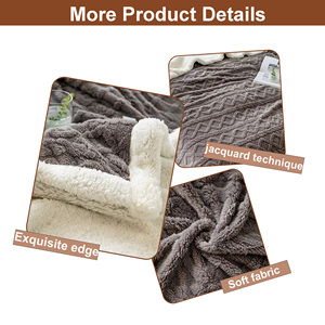 Nhà Máy Bán Buôn Siêu Mềm Ấm Cúng Ấm Áp Hai Lớp Lông Cừu Chăn Tùy Chỉnh Jacquard Logo Flannel Sherpa Ném Chăn Cho Mùa Đông - Product Image 2
