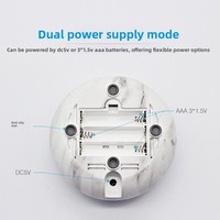 Diffuseur d'huiles essentielles sans eau, type prise USB, mini purificateur d'air, aromathérapie, pour usage domestique