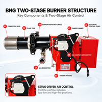 Brûleur de chaudière industrielle BNG210P, machine de chauffage à deux étages, alimentée au gaz naturel, GPL, propane, allumage automatique