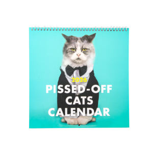 <span class=keywords><strong>Calendrier</strong></span> mensuel <span class=keywords><strong>personnalisé</strong></span> à détacher, impression de <span class=keywords><strong>calendrier</strong></span> de table, <span class=keywords><strong>calendrier</strong></span> de bureau 2026 - Product Image 5