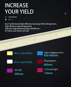 2024 Full Spectrum 1000W Commercial Led Grow Light Bar Lm301b UV IR Interior para cultivo en interiores