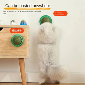 Bola de hierba gatera de plástico duradera y respetuosa con el medio ambiente, resistente a mordeduras de mascotas, limpieza de dientes molares, alivio del aburrimiento, autollamido para gatitos - Product Image 4