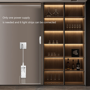 <span class=keywords><strong>Led</strong></span> Tủ ánh sáng độ sáng cao song song <span class=keywords><strong>COB</strong></span> ánh sáng phân vùng cảm ứng tay quét mờ trang trí tủ quần áo nhà dải ánh sáng - Product Image 3