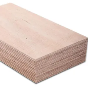 Kualitas Tinggi Komersial Kayu Lapis (Birch, Pinus, Beech, Poplar, Alder, Okume...)