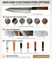 Ensemble Professionnel de Couteaux de Chef Kiritsuke en Acier Damas Style Japonais 2 Pièces, Outils de Cuisine Haute Qualité en Acier Damas VG10