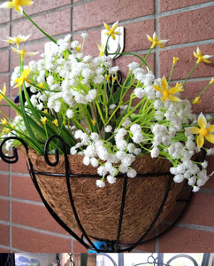 <span class=keywords><strong>Maceta</strong></span> Esférica <span class=keywords><strong>Colgante</strong></span> <span class=keywords><strong>de</strong></span> Pared <span class=keywords><strong>de</strong></span> Hierro con Revestimiento <span class=keywords><strong>de</strong></span> Fibra <span class=keywords><strong>de</strong></span> Coco para Interiores, Exteriores y Patio - Product Image 2