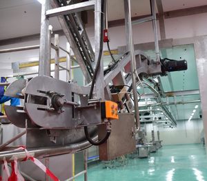 Mesin Jalur Pemotongan Babi untuk Produksi Lengkap Rumah Potong Hewan Babi - Product Image 6