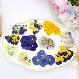 <span class=keywords><strong>Viola</strong></span> pansy บีบแห้งสามสีสำหรับตกแต่งร่างกายใบหน้าและแต่งหน้าเทียน DIY เคสโทรศัพท์เครื่องประดับเล็บ - Product Image 2