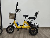 Scooter de mobilité pour adultes pour personnes âgées tricycles électriques pliants au lithium à prix d'usine