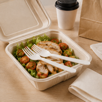 Ensemble de couverts biodégradables de qualité alimentaire emballés individuellement en CPLA compostable pour la restauration en gros