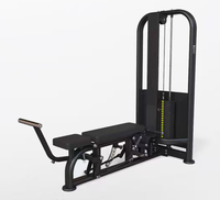 Máquina Comercial de Extensión y Curl de Brazos para Gimnasio, con Selección de Carga por Pin, de Fabricante
