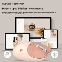 Ratón Inalámbrico Silencioso y Bonito para Niñas, Ratones Portátiles de Oficina para Computadora Portátil, Mini Ratón Delgado con Diseño de Dibujos Animados y Clic Silencioso