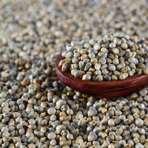 Bajra indien, céréale saine - Product Image 1