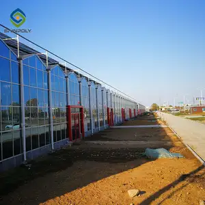 Invernaderos automáticos de vidrio para comercio, España