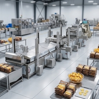 Línea de Producción Profesional de Papas Fritas, Proyecto Llave en Mano para Fábrica de Snacks Fritos, Construcción Duradera de Acero Inoxidable