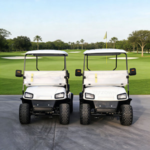Voiture de <span class=keywords><strong>golf</strong></span> au lithium la plus populaire, capacité, <span class=keywords><strong>prix</strong></span> compétitif du fabricant, voiture de tourisme - Product Image 1