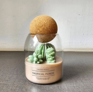 LANJO - Frascos de Vidrio de Borosilicato Transparente de 450 ml/15 oz para Velas de Cera de Soja, Tapas de Corcho de Madera, Resistentes al Calor, Aromatizados, para Navidad y Pascua - Product Image 3