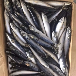 Pescado <span class=keywords><strong>caballa</strong></span> Chub mackerec pescado - Product Image 6