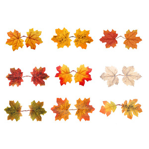 XINYUE Hojas de Arce Artificiales de 10cm-30cm, Decoraciones de Seda para Halloween, Accesorios para Bodas y Hogar - Product Image 1