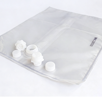 Sac en plastique transparent robuste en gros avec options de valves multiples pour le stockage commercial de vin, de jus et de liquides industriels