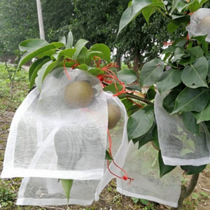 ถุงตาข่ายกันแมลง ถุงป้องกันแมลงสำหรับผลไม้ เช่น <span class=keywords><strong>มะม่วง</strong></span> สตรอว์เบอร์รี องุ่น ถุงตาข่ายขนาดเล็กป้องกันศัตรูพืช - Product Image 4