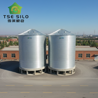 Sistema di Silos per Grano e Mais di Grande Capacità Zincato