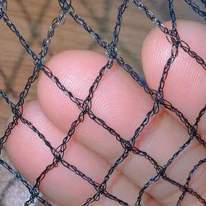 Red de Protección Anti-Aves de HDPE Estabilizada con Rayos UV, Sin Nudos, al Mejor Precio, para Viñedos y Huertos - Product Image 1