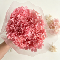 Grandes Hortensias Anna Séchées et Préservées Populaires pour la Décoration de Mariage/Maison – Bouquets d'Hortensias
