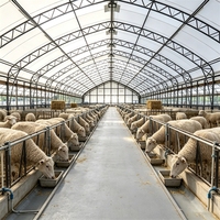 Estructura de Lona para Rancho de Caballos Resistente a los Rayos UV, 850g/m², Arco Gótico de Techo Alto, 80x120m, PVC Gris para Ovejas, Cabras y Ganado