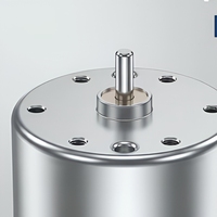Moteur CC miniature 24V 520 à aimant permanent brossé haute vitesse pour robot, appareil ménager, jouet, personnalisé