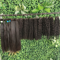 Lot de Cheveux Humains Vierges Bruts Non Traités Birmans, Naturels, Provenant d'un Donneur Unique, 100% Alignés dans le Sens de la Cuticule, Cheveux Vierges Non Traités Vietnamiens