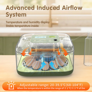 高い孵化率12卵インキュベーターと孵化場完全自動鶏用ミニインキュベーター - Product Image 4