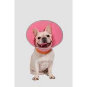 Waterproof Pet Recovery Cone With Snap <b>Button</b> Cat Elizabeth Collar And Lightweight Plastic <b>Dog</b> Collar For Anti Bite - Product Image 2